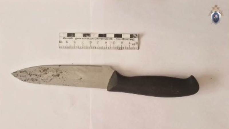      Фото: СУ СКР по Ставрополью