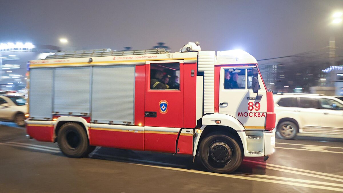    Фото: Belkin Alexey/news.ru