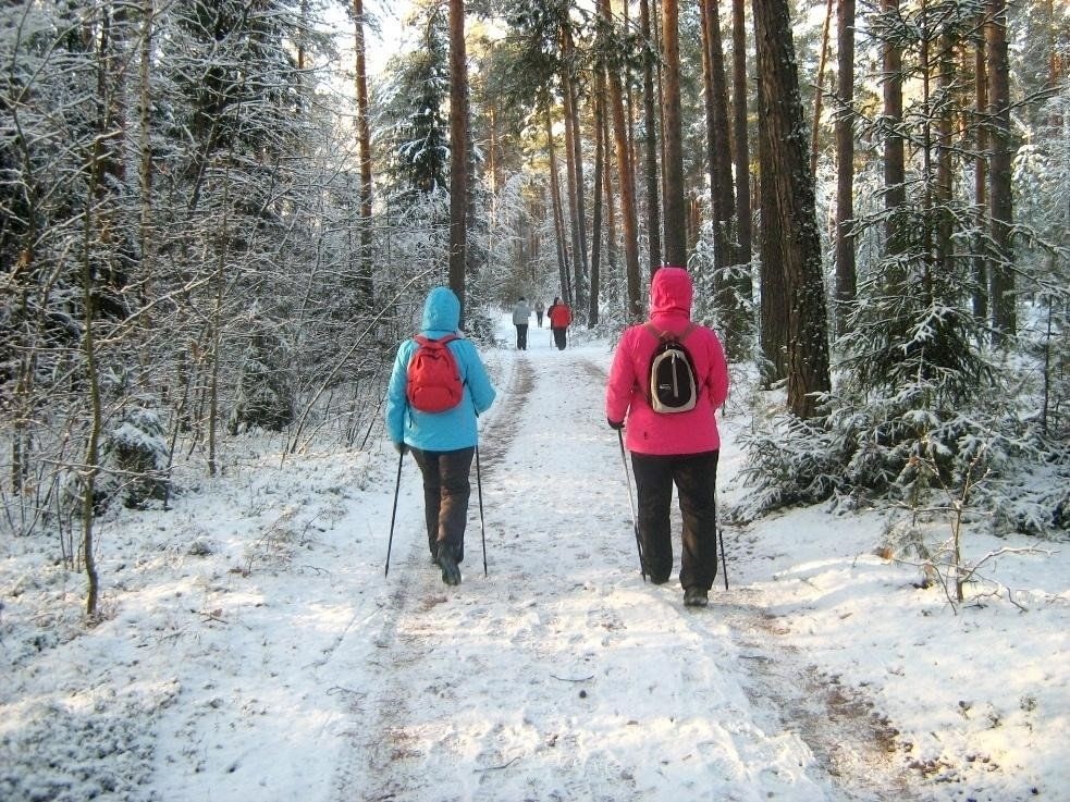 Надо гулять