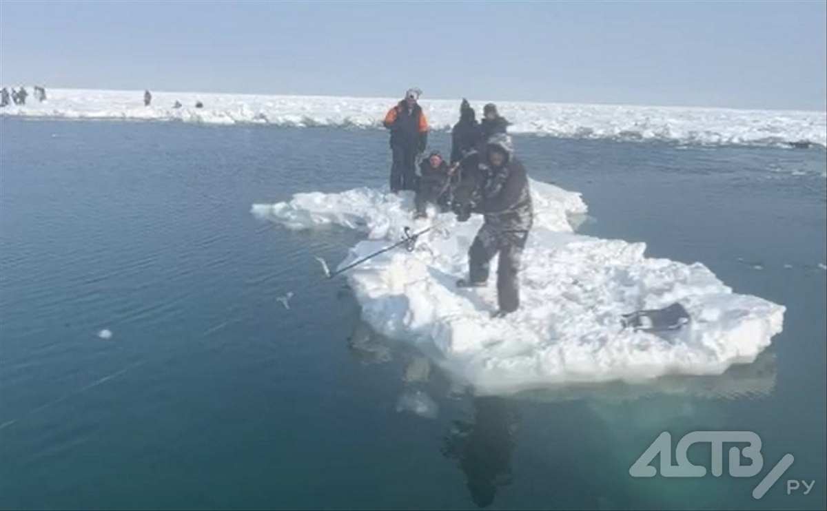 Подтягивай остров....