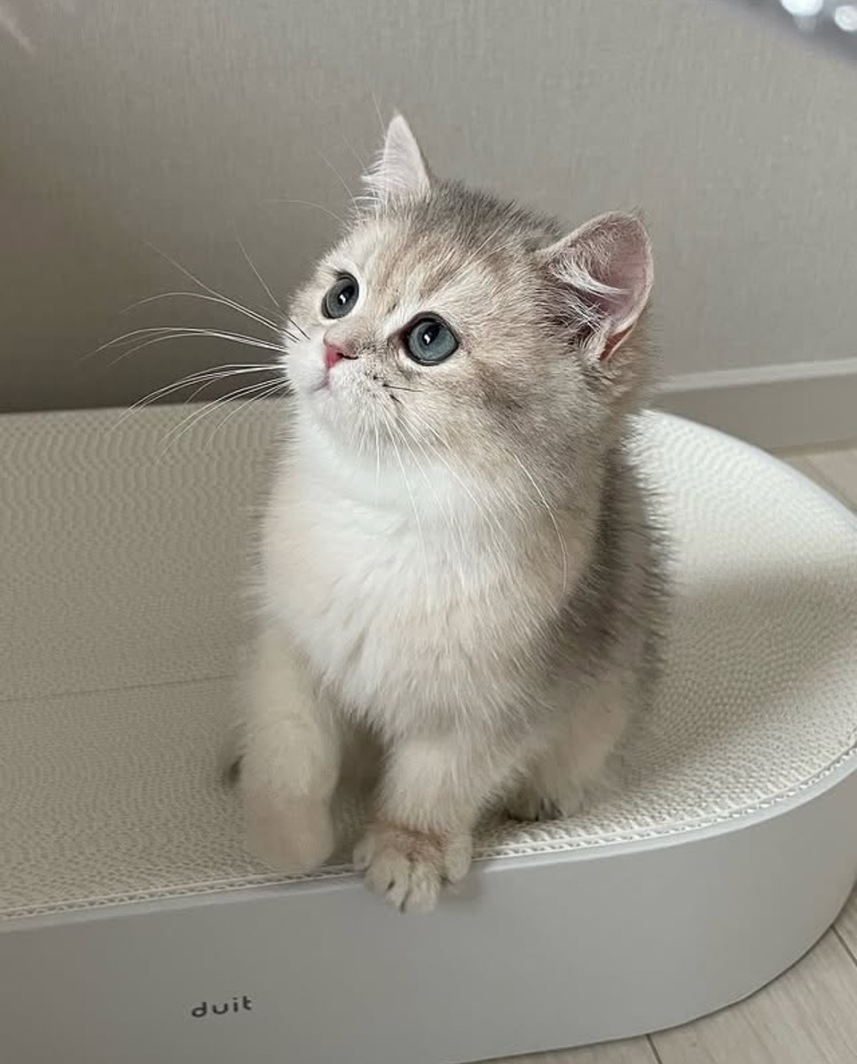 Прикольные улыбки