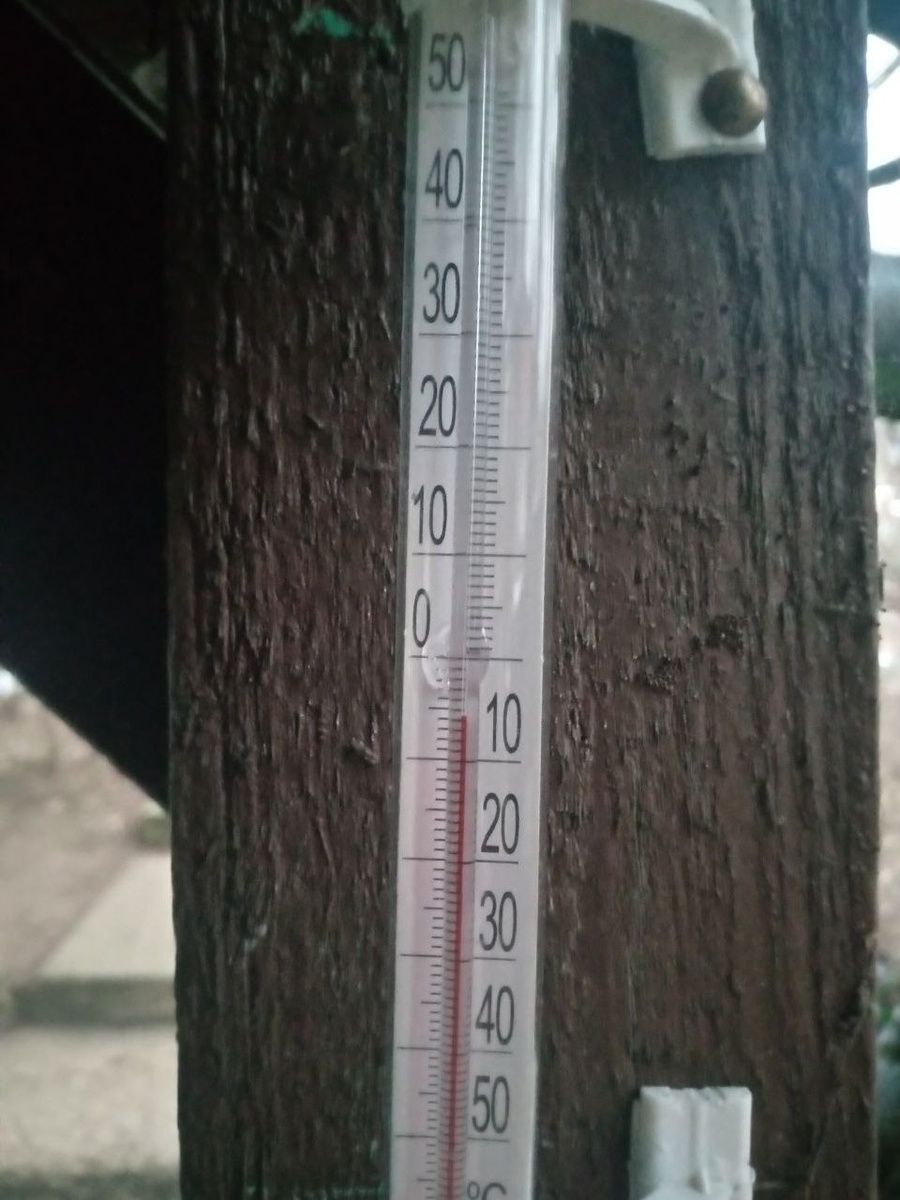 Сегодня днём на градуснике