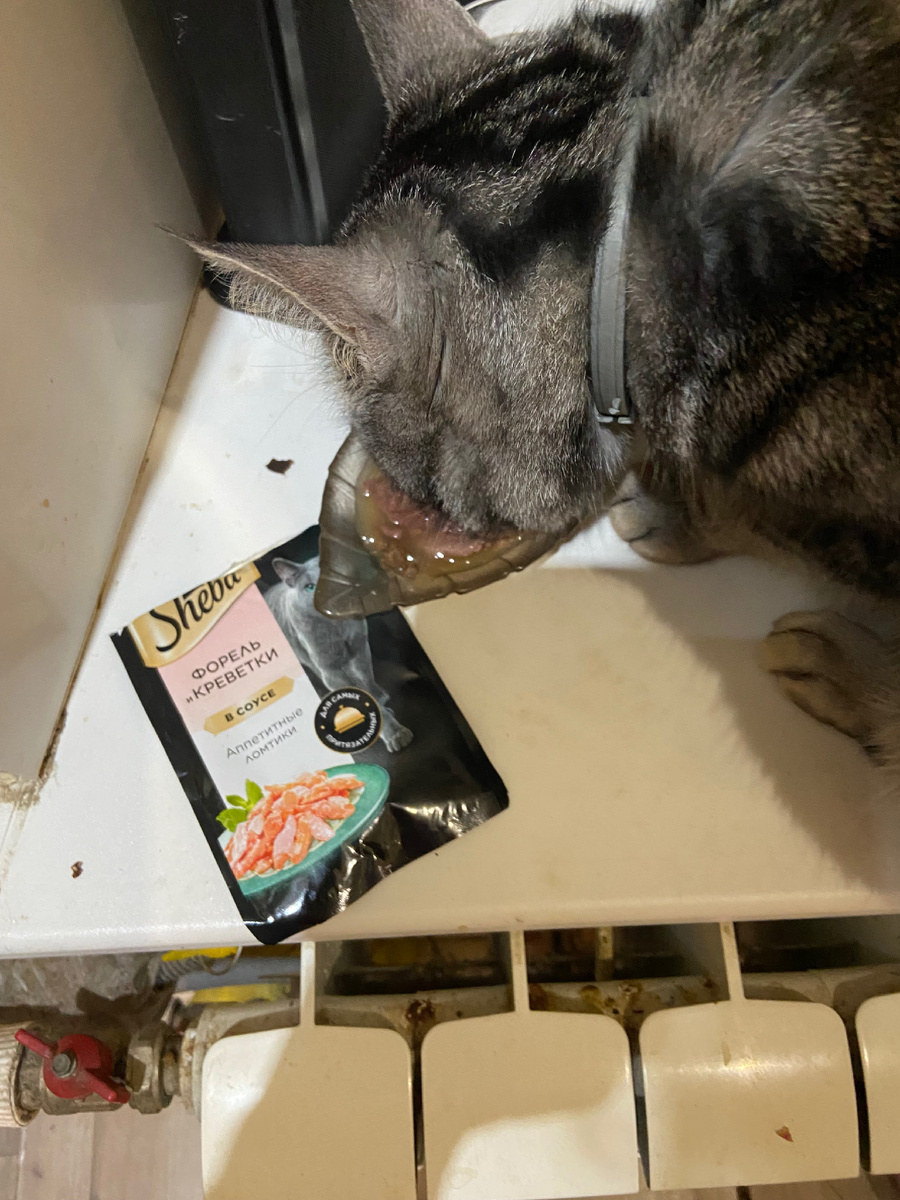 Утро Малыша.