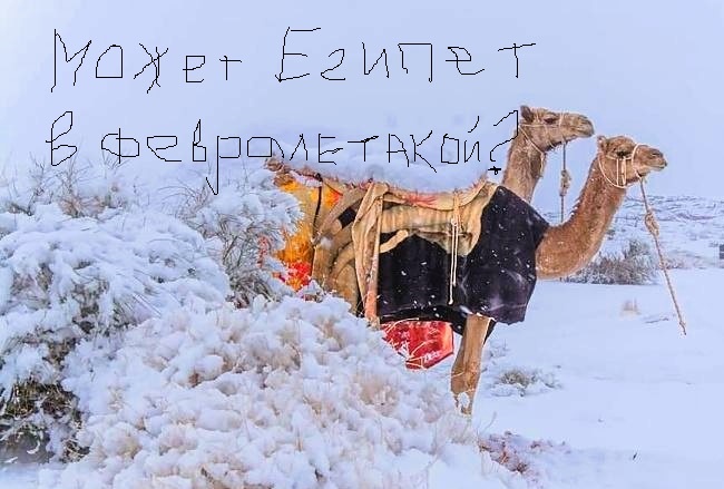 Хочется верить что в наш отпуск так не будет...