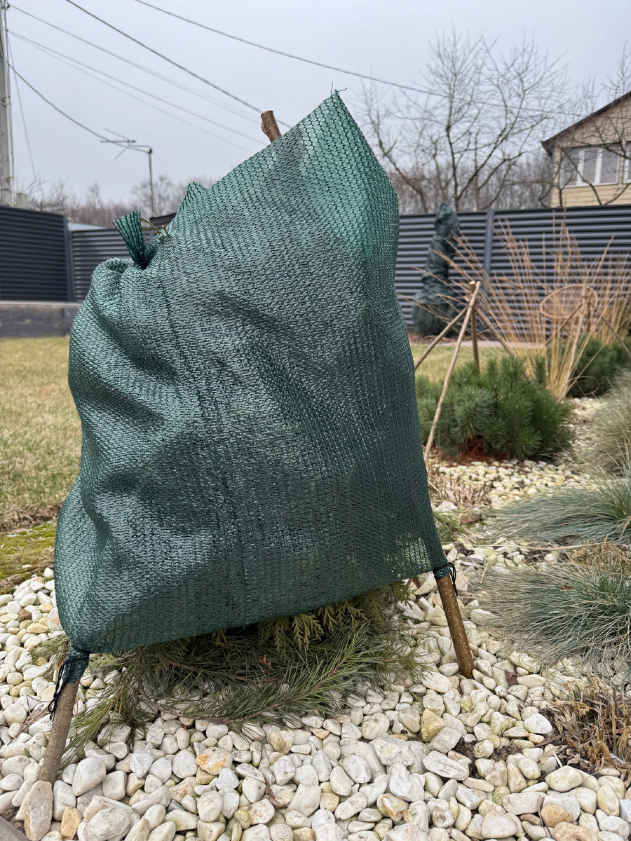 Солнцезащитное укрытеи туи