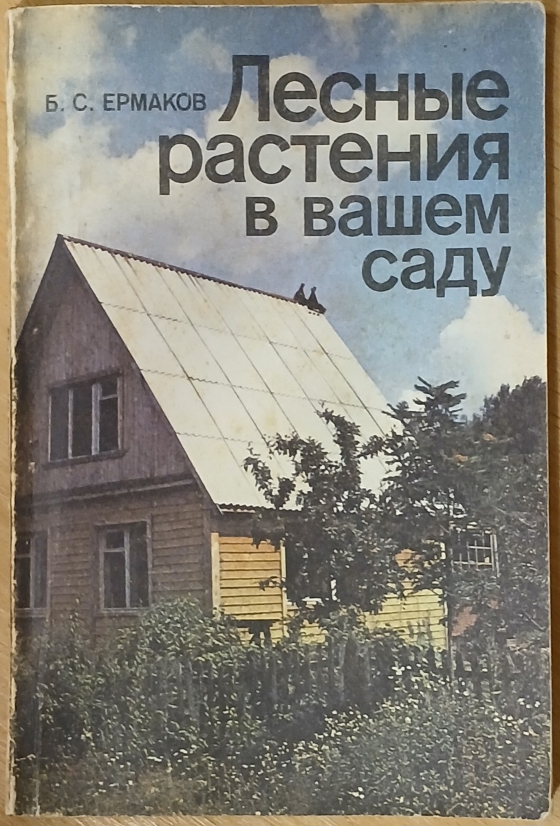 Фотография из личного архива автора канала