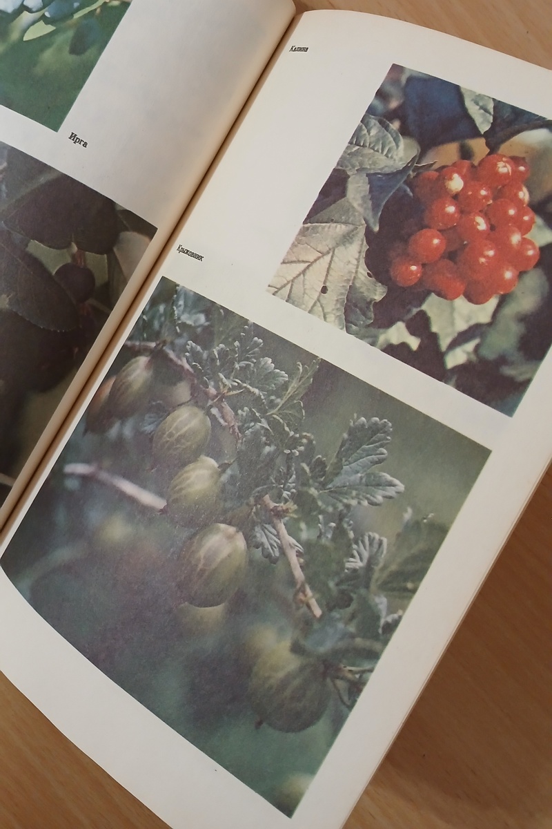 Фотография из личного архива автора канала