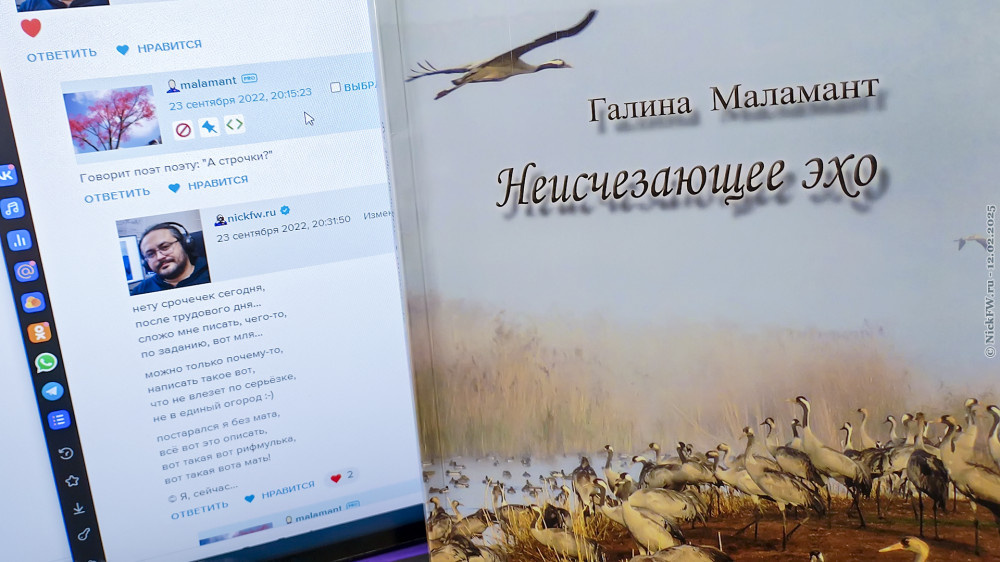 2. Книга: "Неисчезающее эхо" Галина Маламант © NickFW.ru — 12.02.2025г.