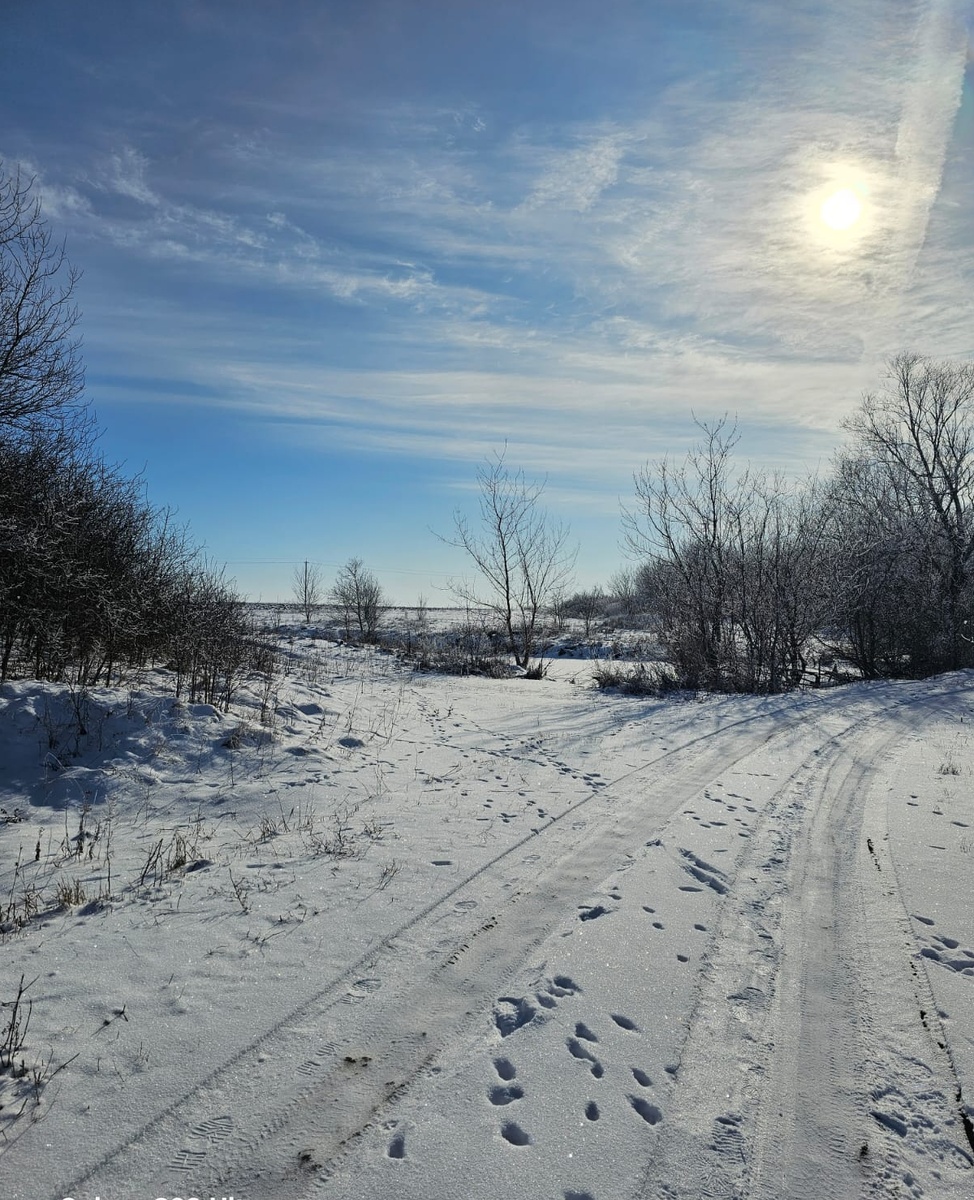 Вот такие вот в селе виды, фото автора