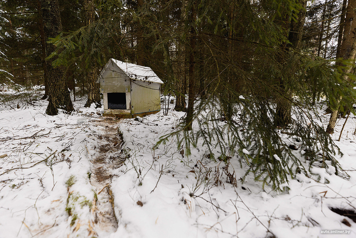 Листайте вправо, чтобы увидеть больше изображений