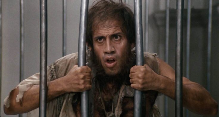 Фото из сети 