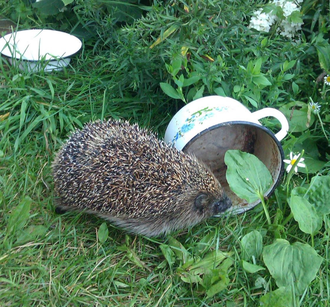 Фото автора 