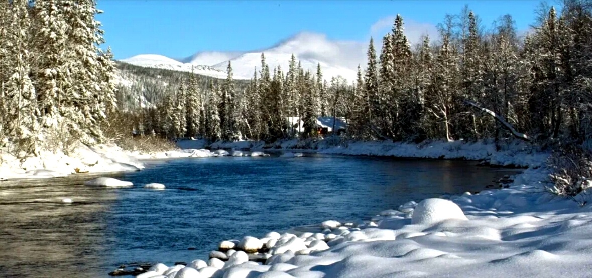 Из открытых источников.