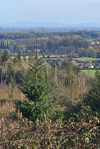 Вид с холма Бри Лей - шии (сида) бога Мидира