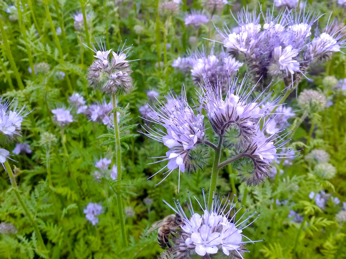 личное фото