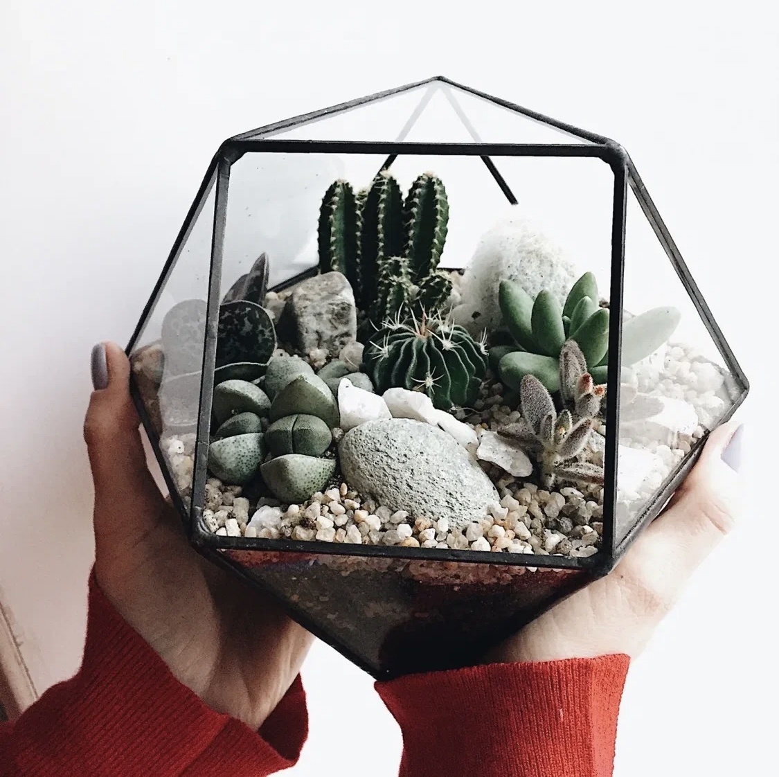 Фото из открытых источников