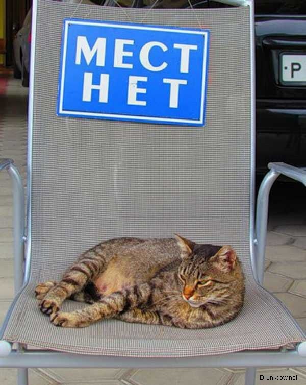 источник Яндекс-картинки