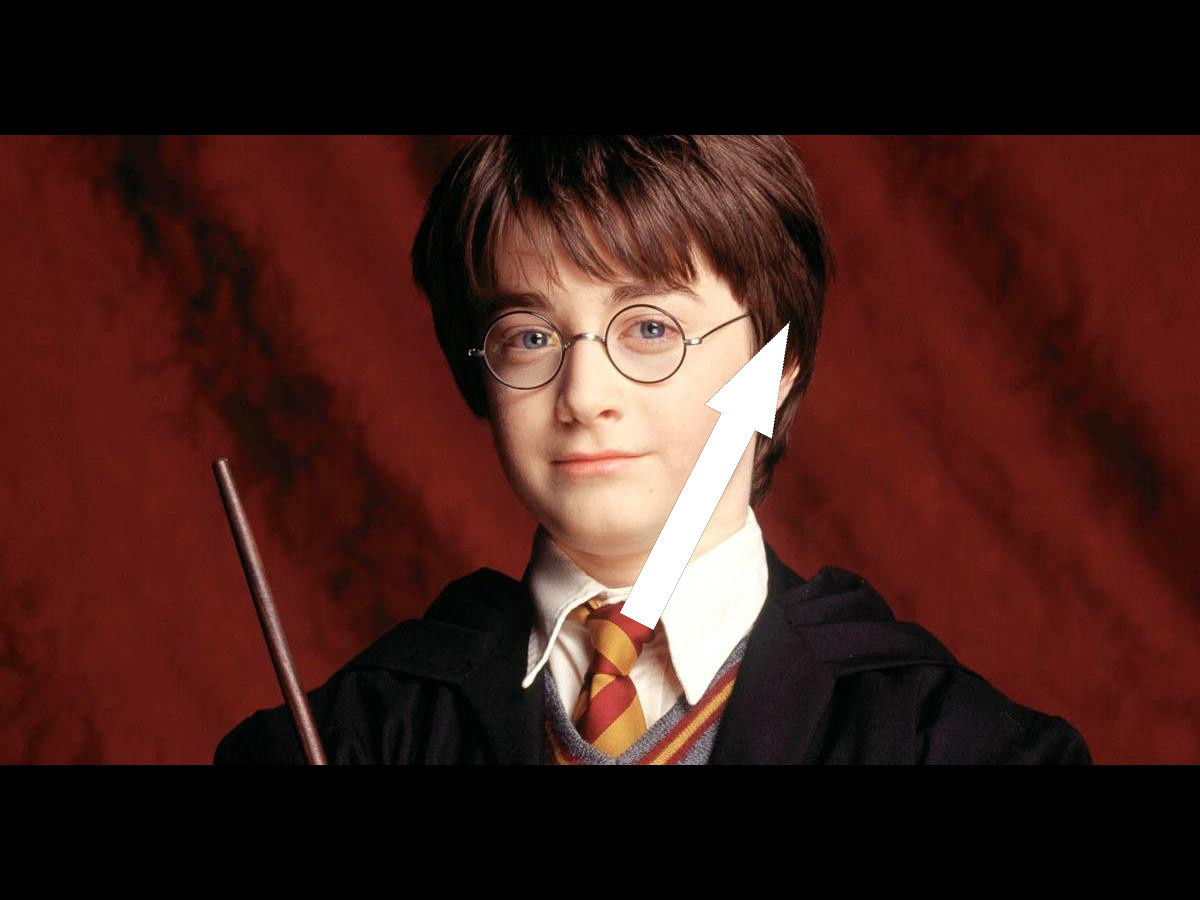    10 мемов, которые покорили мир литературы