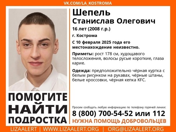    Фото: "ЛизаАлертКострома"