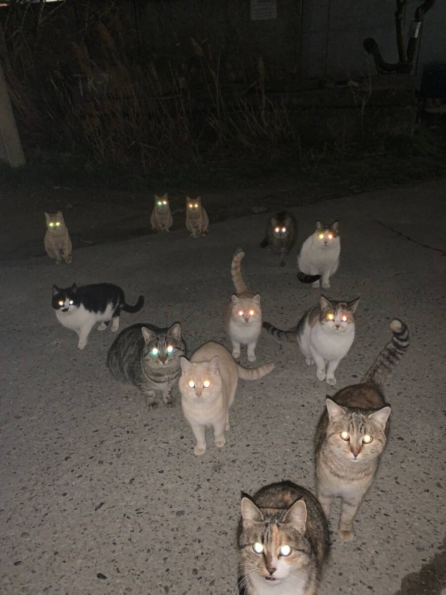 Суперагенты с нашего выезда