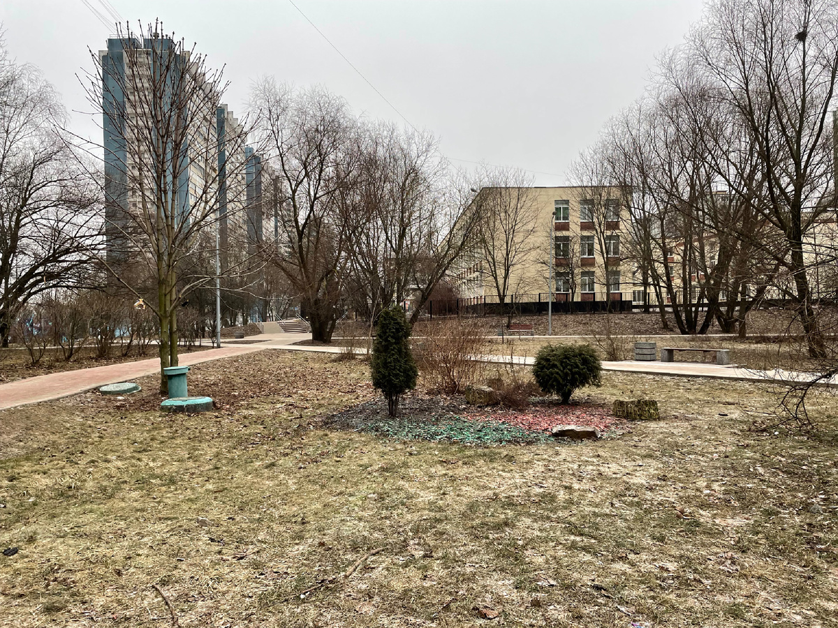 Февраль 2025 в Москве