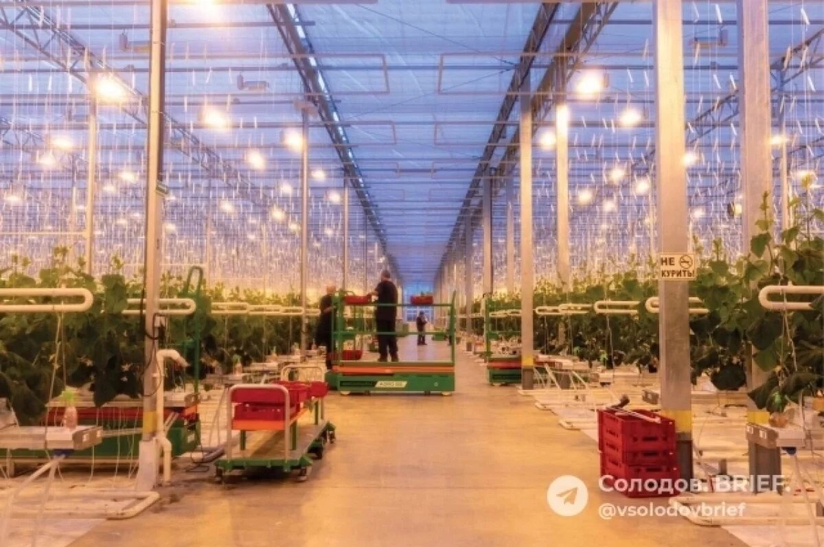    Комплекс «Камчатский» нарастит обороты выпускаемой продукции за месяц