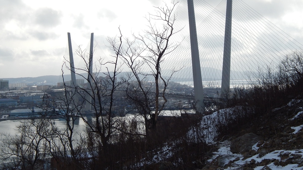     Источник: vostokmedia.com