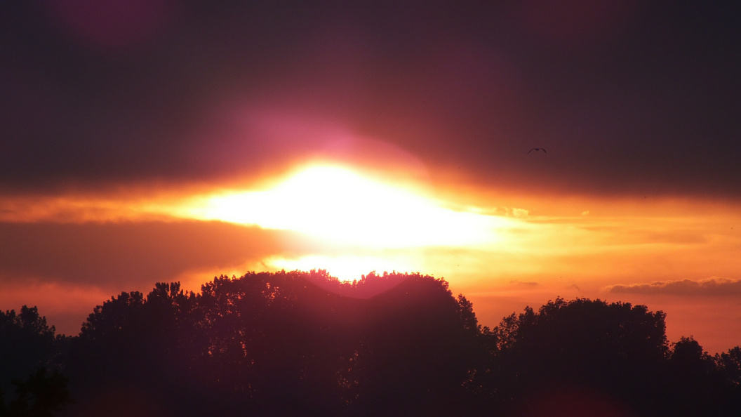    Фото: Victor Lisitsyn/Global Look Press/Globallookpress