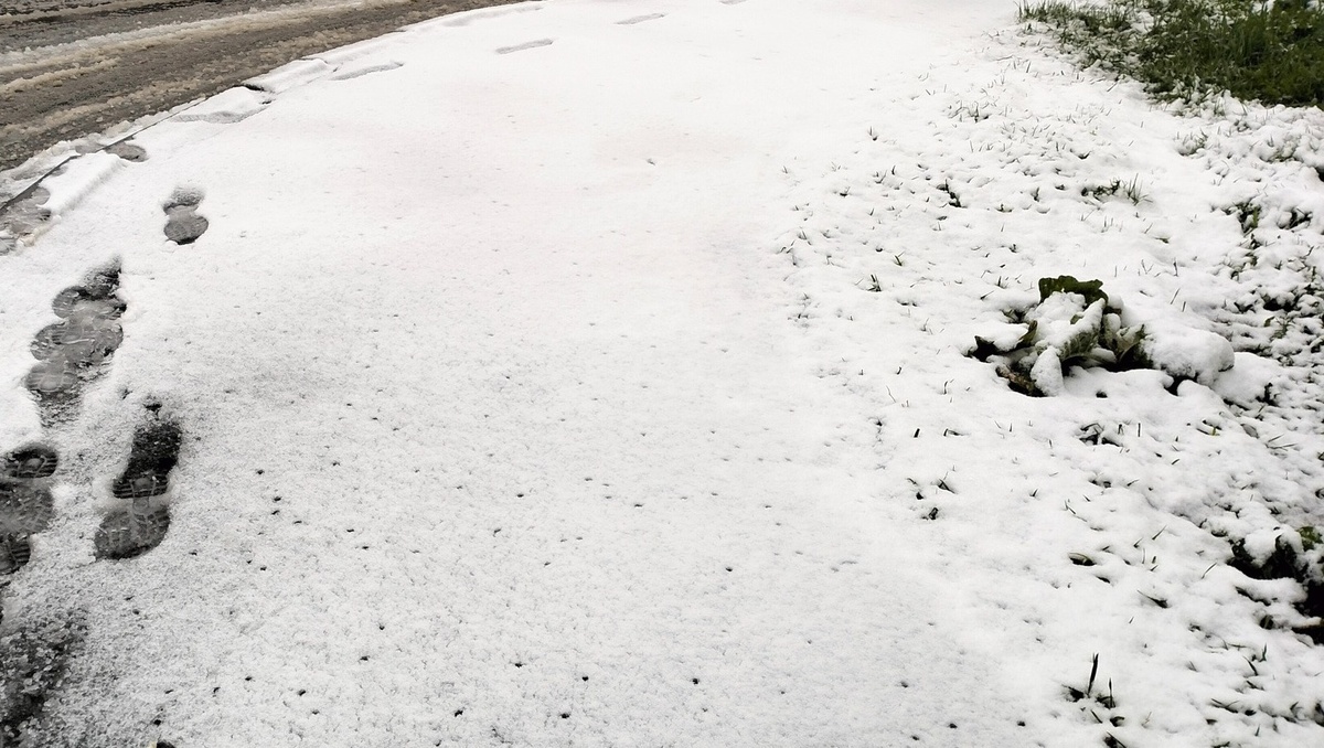     Источник: 1MI