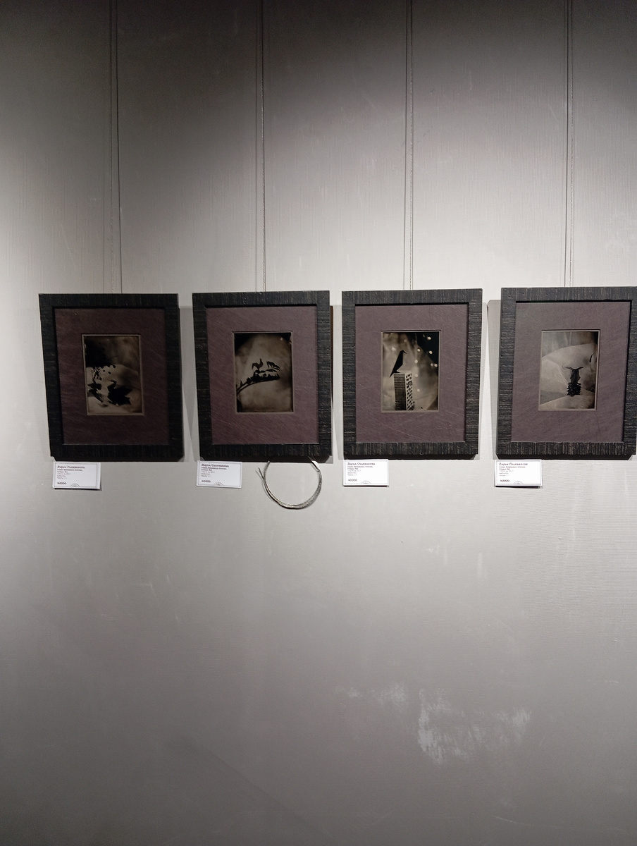 Серия работ Дарьи Селивановой "Бумажные птички" на фестивале Lux Pictura