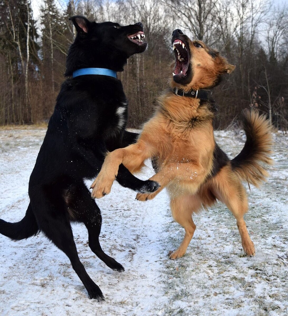 с просторов