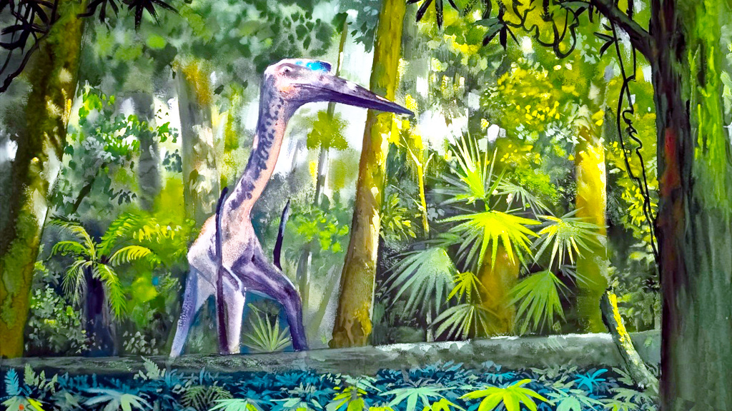 Поздние птерозавры имели весьма солидные размеры.