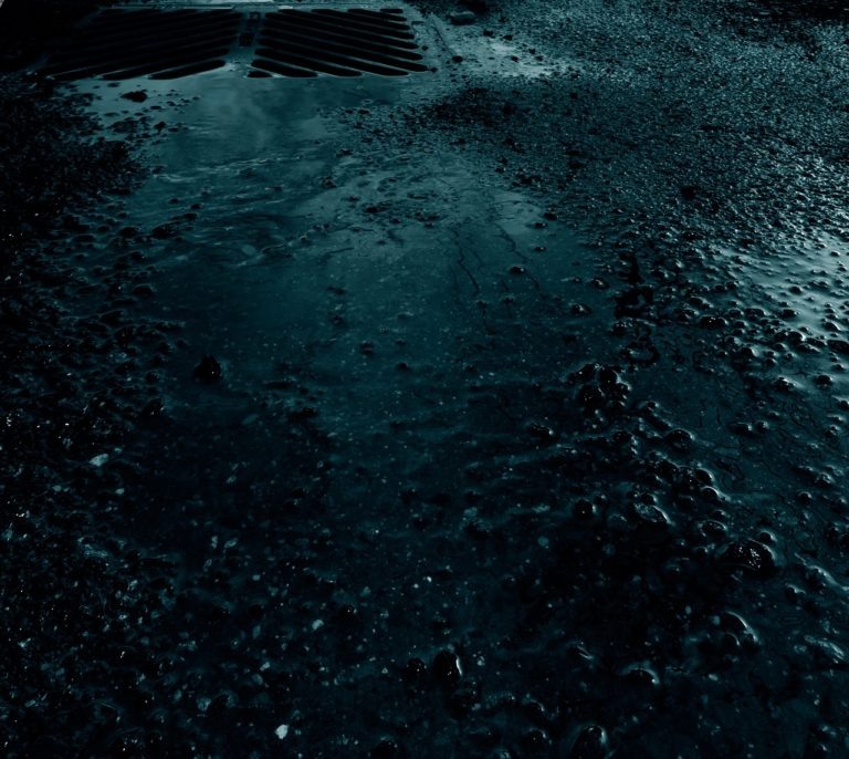    pixabay.com\StockSnap Екатерина Шахнина