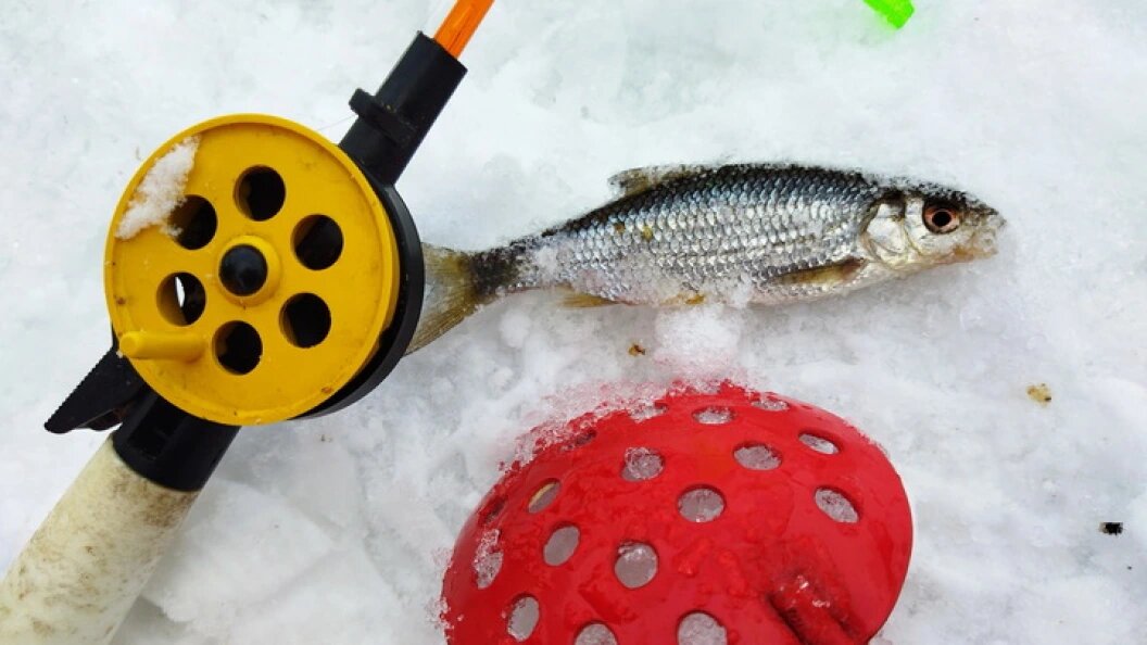    Zamir Usmanov/Globallookpress