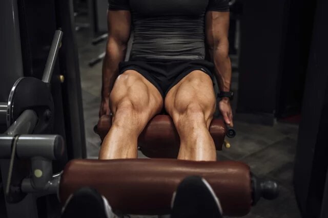    Где находится квадрицепс?