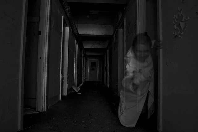 Изображение взято из открытых источников интернета. 