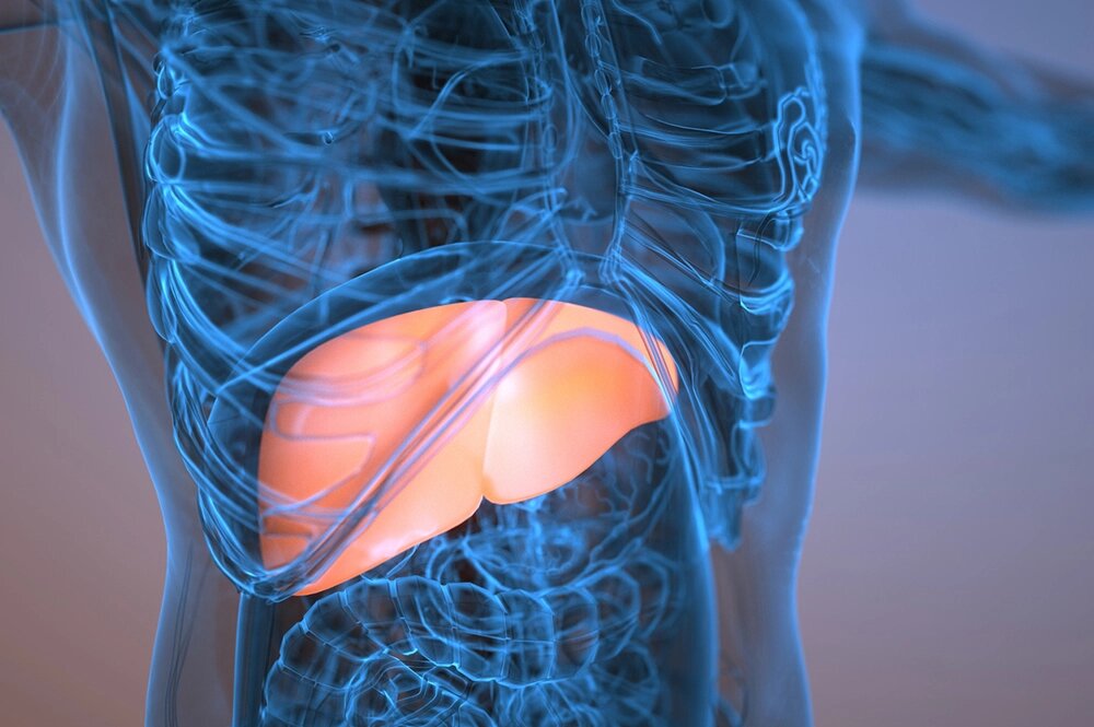    Фото: istockphoto.com/ XH4D