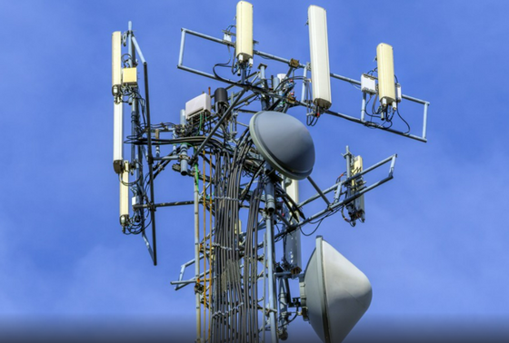    Shutterstock|FOTODOM