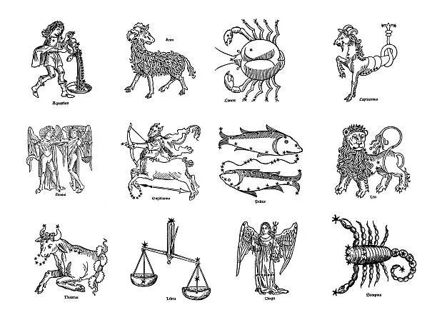 Картинка с просторов интернета