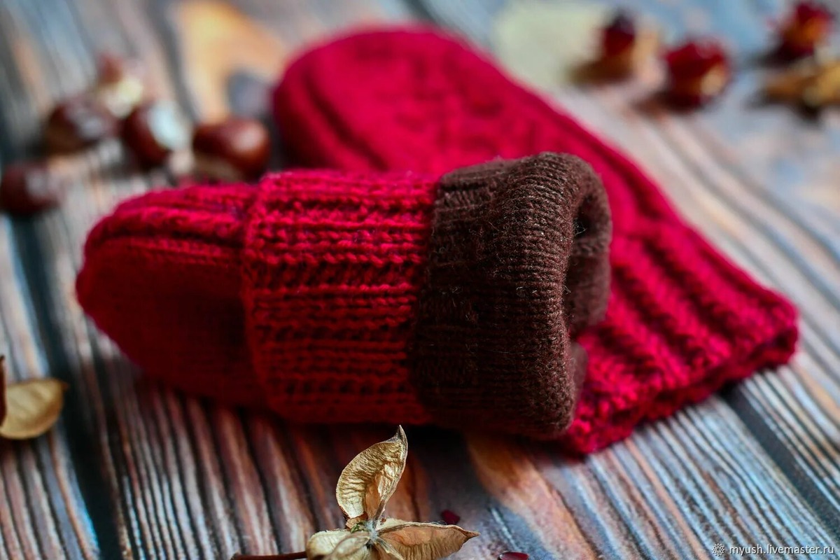 Изображение взято из открытых источников интернета. 