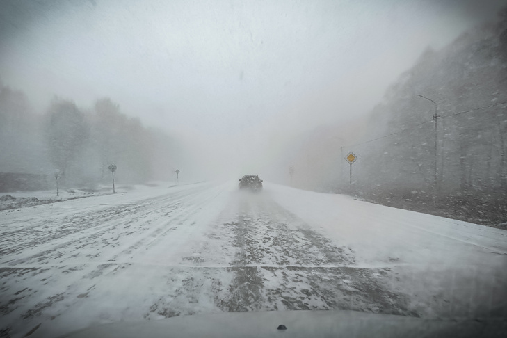    Фото Андрея Заржецкого