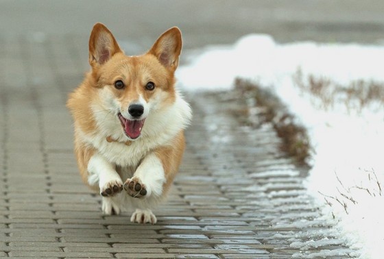    Сергей Булкин/NEWS.ru