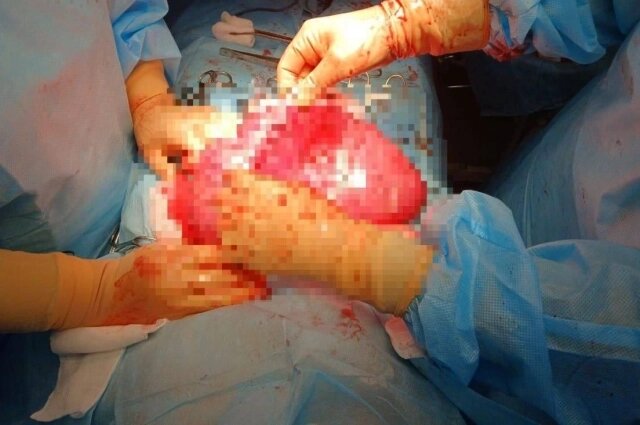    Фото: Глава облздрава Роберт Фидаров