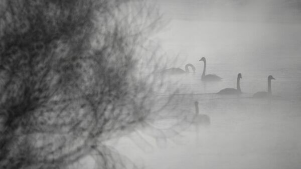    © Sputnik / Владимир Вяткин