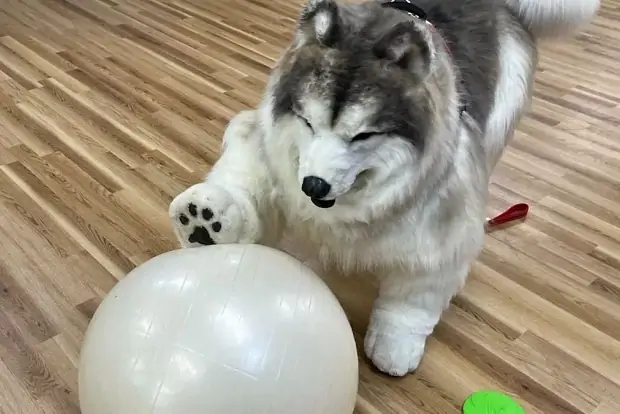 Фото с lenta.ru