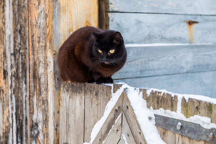    Фото Андрея Заржецкого