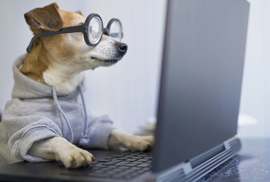    Автор фото: vostock-photo