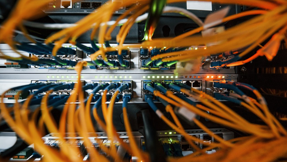    Автор фото: vostock-photo