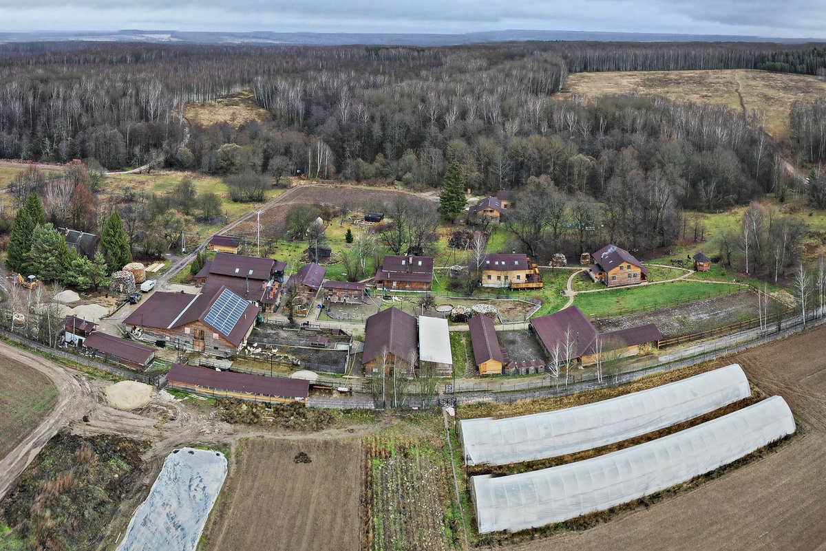 Сергей Михеев/РГ