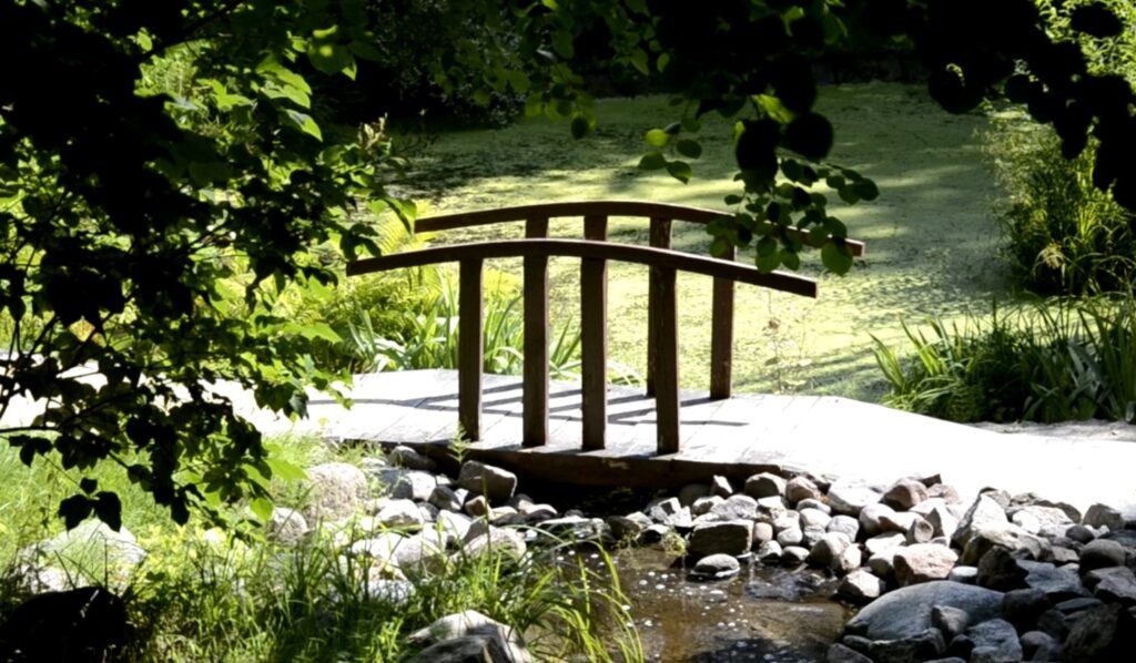 Источник фото https://yandex.ru/images/